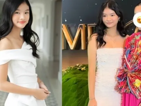 Nhan sắc con gái Trương Ngọc Ánh "cam" thường check: Nét xinh lạ, đôi "kiếm Nhật" di truyền từ mẹ chiếm spotlight