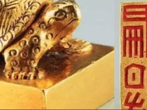 Đổi 'rùa vàng' lấy 1 triệu đồng, ngư dân khóc ròng khi biết giá trị thực 660 tỷ