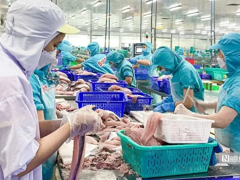Xuất khẩu cá tra lần đầu tăng trưởng dương kể từ đầu năm