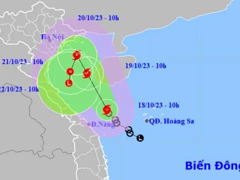 Áp thấp nhiệt đới mạnh lên thành bão số 5, cách Quảng Trị-Quảng Ngãi khoảng 150 km