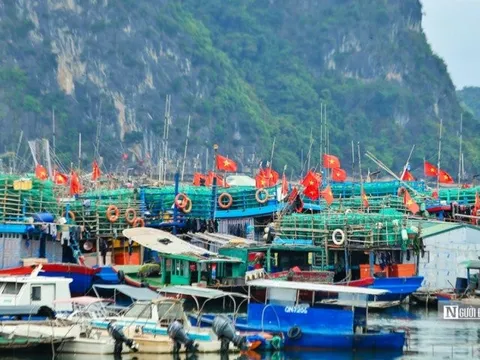Thủ tướng chỉ đạo khẩn trương tìm kiếm 15 ngư dân mất tích trên biển