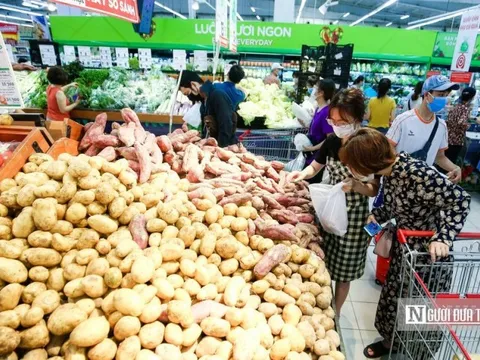 Lý do khiến sản phẩm nông nghiệp dễ gặp sự cố khi tiếp cận thị trường
