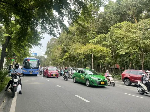 Tiểu đảo 170 m trên đường tới sân bay Tân Sơn Nhất có thể bị thu hồi