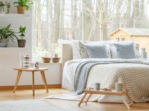 7 loại cây nên đặt trong phòng ngủ, giúp bạn ngủ ngon giấc: Có cây được ví như "máy lọc không khí tự nhiên"