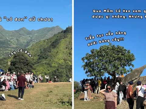 Dân tình đổ xô đi Tà Xùa: Xếp hàng "mỏi cổ" chờ chụp ảnh, cây cô đơn đông nghịt người vây quanh