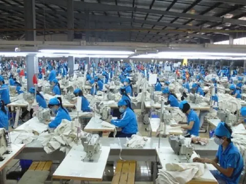 Doanh nghiệp dệt may thích ứng trước biến động thị trường