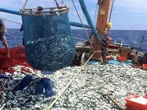 Gỡ thẻ vàng IUU, Quảng Bình xử lý nghiêm các tàu cá nếu vi phạm