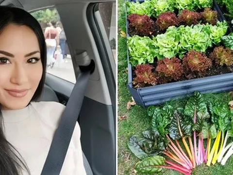 Khu vườn ở Đức khiến chủ nhân từ bỏ niềm vui mua sắm, vài tháng không đi siêu thị vẫn sống tốt