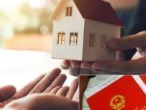 Mẹ chồng chia cho vợ chồng tôi 500 triệu, em trai được cả ngôi nhà 10 tỷ