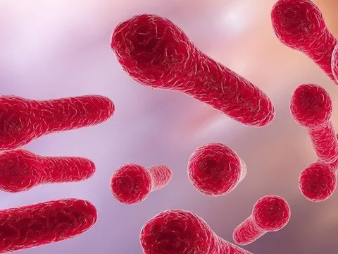 Hà Nội đã có 2 ca tử vong do mắc uốn ván