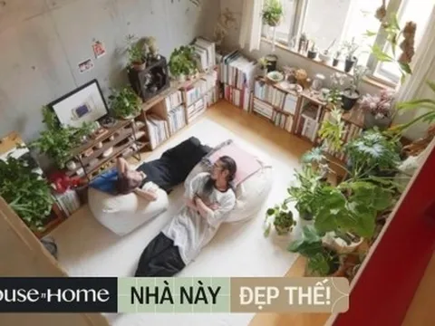 Vợ chồng Nhật Bản rút hết tiền tiết kiệm mua căn nhà thô rộng 58m2 để trồng cây, nội thất cũng tối giản hết mức