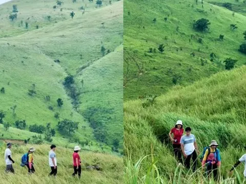 Một thảo nguyên xanh ở Đắk Lắk được giới trẻ săn đón vì cảnh đẹp mê ly