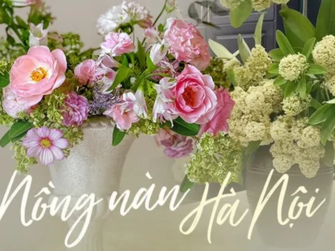 Thú vui độc lạ từ loài hoa đặc trưng mùa thu Hà Nội, cả ngàn người chỉ vài người dám chơi