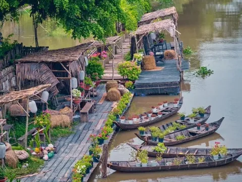 Về An Giang ghé rừng tràm lớn nhất miền Tây - nơi được coi là "nguồn cảm hứng" mới của giới làm phim Việt