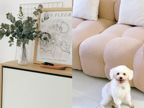 Vợ chồng thuê nhà 7 triệu/tháng, chi 40 triệu đồng để decor: Thuê nhà trống tiết kiệm hơn nếu sống lâu dài