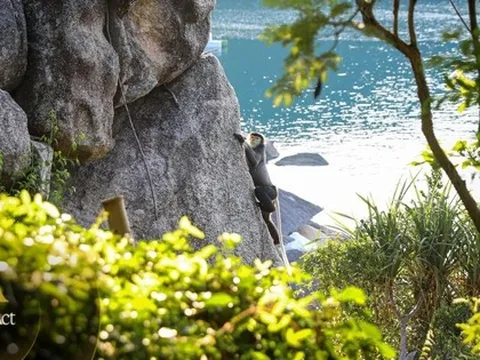 Theo chân 'mẹ voọc' và thợ lặn lên rừng, xuống biển ở Six Senses Ninh Van Bay