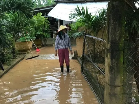 Mưa lớn khiến hơn 800 ngôi nhà ở Quảng Trị bị ngập lụt, nước sông đang lên