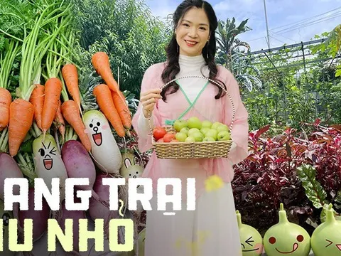 Khu vườn rộng 300m2 sum suê rau trái, mùa nào thức nấy, tươi tốt um tùm của mẹ đảm 4 con ở Quảng Ninh