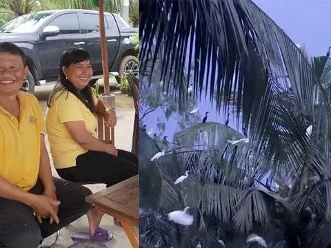 Chịu thất thu 30 triệu/tháng, nhường 3 công đất cho cò ở, cặp vợ chồng được đàn cò báo đáp sau 10 năm