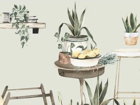 Phá vỡ giới hạn không gian, tạo ra một khu vườn trong nhà