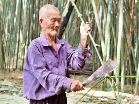 Lão nông sở hữu làng tre lớn nhất miền Tây trở thành phú điền ở tuổi 87