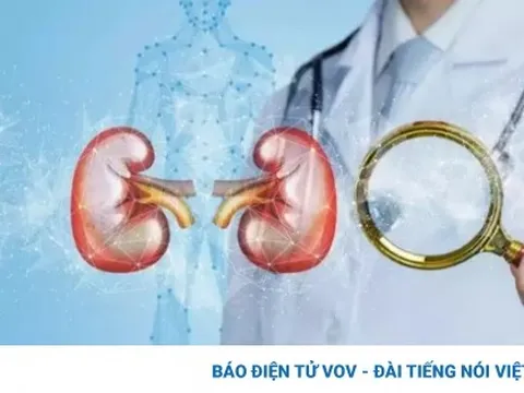 Cảnh báo dấu hiệu mắc bệnh thận mãn tính và cách phòng ngừa