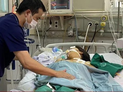 Hà Nội phát hiện thêm tuýp virus gây bệnh sốt xuất huyết