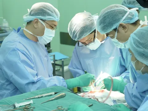 Kỹ thuật mới mở lối chữa động kinh