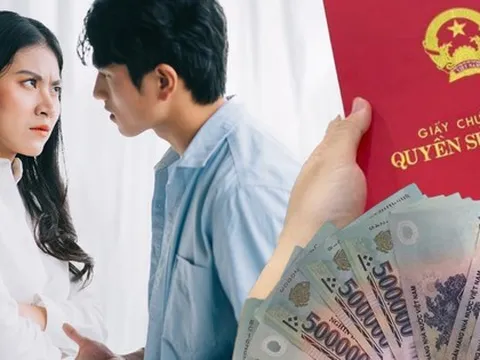 Chồng tỷ phú để con riêng đứng tên gia sản vì không muốn chia cho vợ khi ly hôn