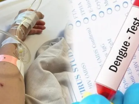 Bị sốt xuất huyết, người phụ nữ không thể ngủ vì cảm giác 'giòi bò trong xương'