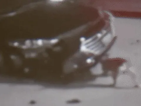 Hai chú chó tới đại lý cắn phá ô tô mới gây thiệt hại 8,5 tỷ, chủ chó dễ phải 'đền ốm'