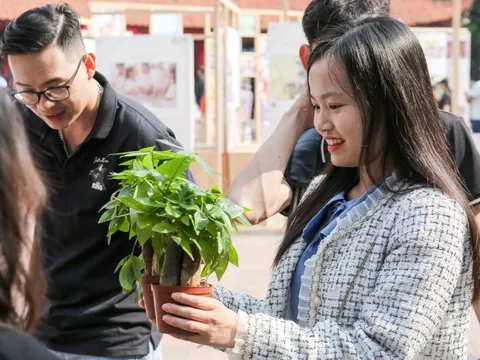 Giới trẻ Hà Nội mang vỏ chai, hộp sữa đến Văn Miếu để đổi lấy những chậu cây xinh xắn