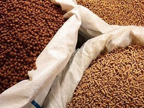 Xuất khẩu thức ăn gia súc và nguyên liệu đạt tỷ USD