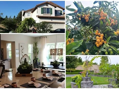 Cận cảnh biệt thự triệu đô 700m2 tại Mỹ của "chị đẹp" Thu Phương, có cả cây trái quen thuộc ở Việt Nam