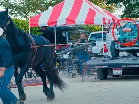 YouTuber dùng ngựa kéo động cơ Honda Civic để đo 1 sức ngựa bằng bao nhiêu mã lực, kết quả không phải 1-1