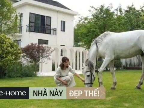 Cô gái 33 tuổi bỏ phố về quê: Giúp bố cải tạo biệt thự 3000m2, hàng ngày nuôi ngựa và làm vườn cực ''chill''