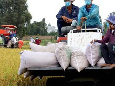 Giá trị xuất khẩu ngành trồng trọt cao kỷ lục