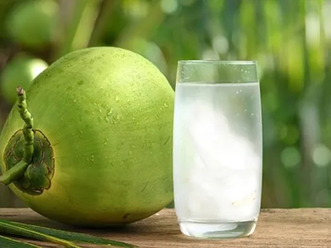 Sự thật chuyện uống nước dừa giúp lọc sạch phổi và 3 điều quan trọng cần biết khi uống kẻo hại thân