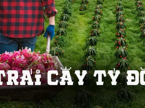 Những điều thú vị về trái thanh long đang "làm mưa làm gió" trên mạng xã hội
