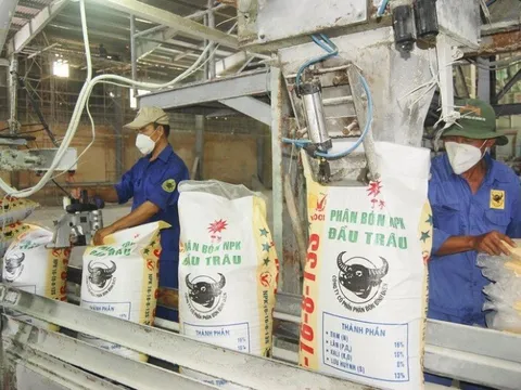 Lối thoát cho vật tư nông nghiệp