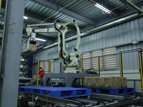 Từ mô hình khép kín 3F, một doanh nghiệp Việt hướng đến xuất khẩu trứng gà ăn liền, sớm đưa ra thị trường vắc-xin dịch tả lợn