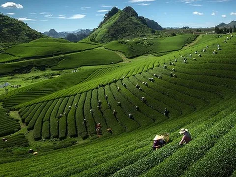 Điểm đến vùng Tây Bắc Việt Nam vừa được vinh danh tại giải thưởng quốc tế: Cách Hà Nội hơn 3 giờ lái xe