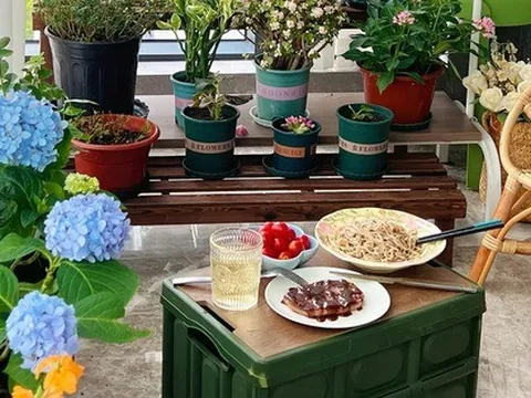 Quyết tâm không bỏ phí ban công dù nhỏ, cô giáo trẻ mát tay trồng được gần 100 chậu hoa khoe sắc