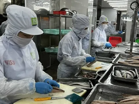 Một doanh nghiệp chi 30 tỷ đồng thưởng Tết cho công nhân