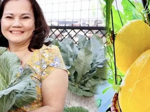 "Khu vườn trên mây" ngốn bạc tỷ của cô giáo Hà Nội: Rau trái đắt hơn vàng, là không gian chữa lành