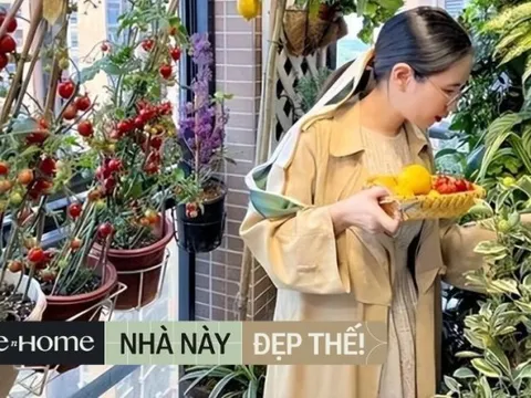 Ban công rộng chưa đến 10m2 khiến dân mạng trầm trồ: Không gian xanh mướt, hoa trái 4 mùa sai trĩu quả