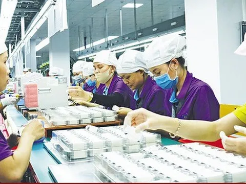 Doanh nghiệp Trung Quốc đánh giá cao môi trường đầu tư Việt Nam