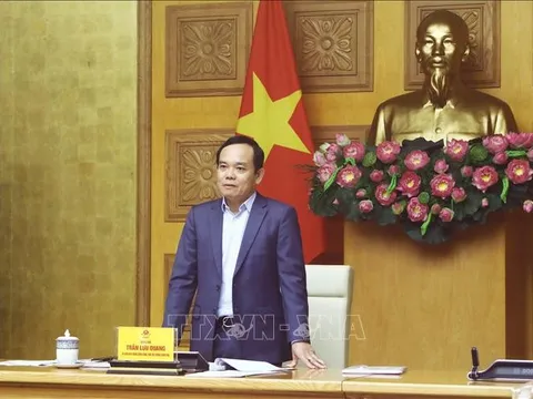 Đôn đốc giải ngân vốn thực hiện các chương trình mục tiêu quốc gia tại 10 địa phương