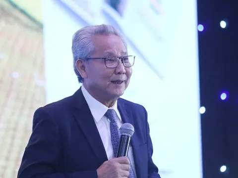 Có thể thu được hàng tỷ USD từ... vỏ trấu