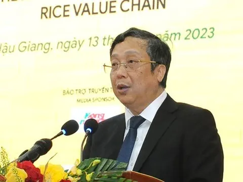 Xuất khẩu kỷ lục và những điểm nghẽn của lúa gạo Việt Nam